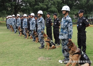 江蘇宿遷警方推“共享保安”模式，可防性案件下降21%